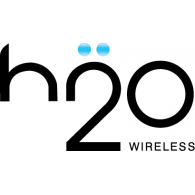 H2 O